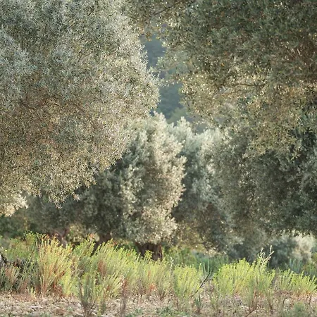 מלון Monnaber Vell קמפנט